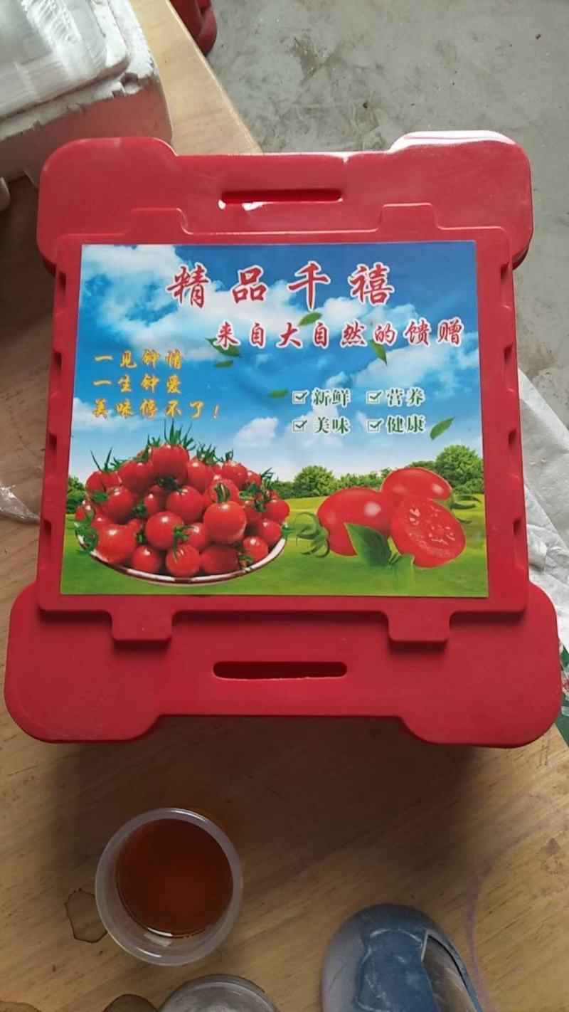 广东电白千禧圣女果电商社区团购超市批发代收代发