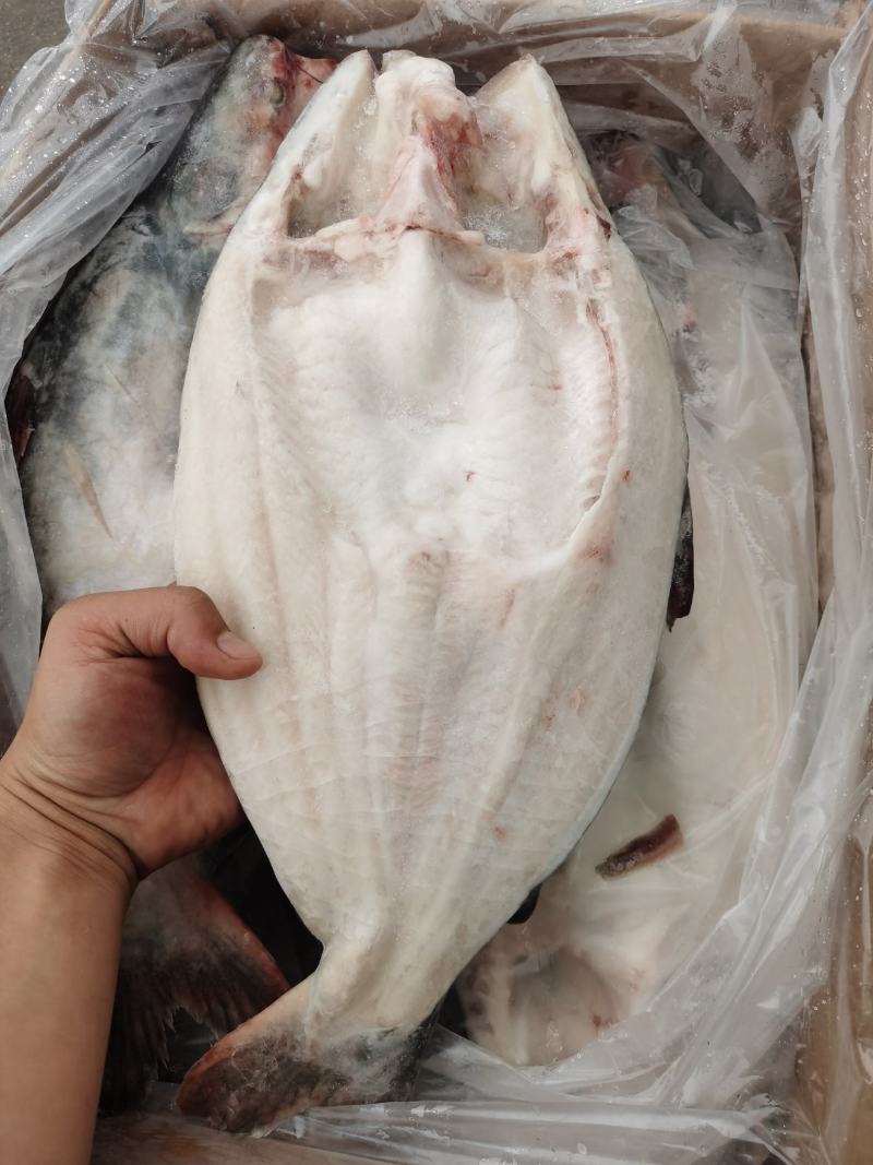 开背巴沙鱼巴沙鱼片带皮巴沙鱼柳单冻餐饮酒店必备食材