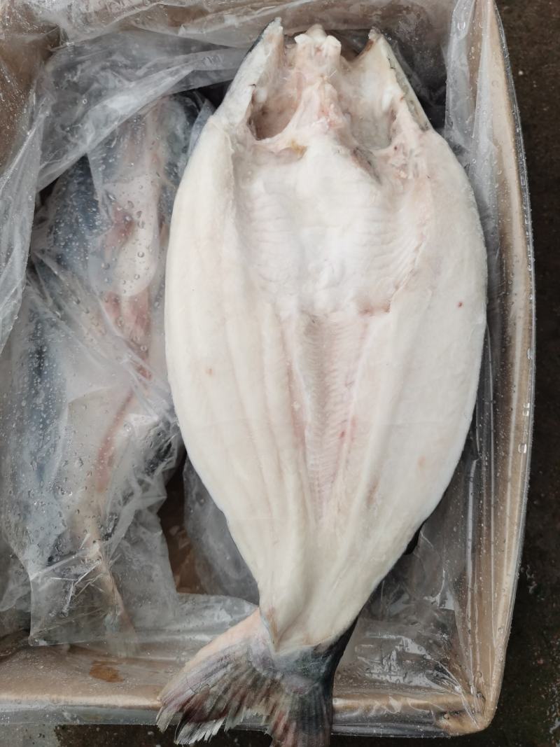 开背巴沙鱼巴沙鱼片带皮巴沙鱼柳单冻餐饮酒店必备食材