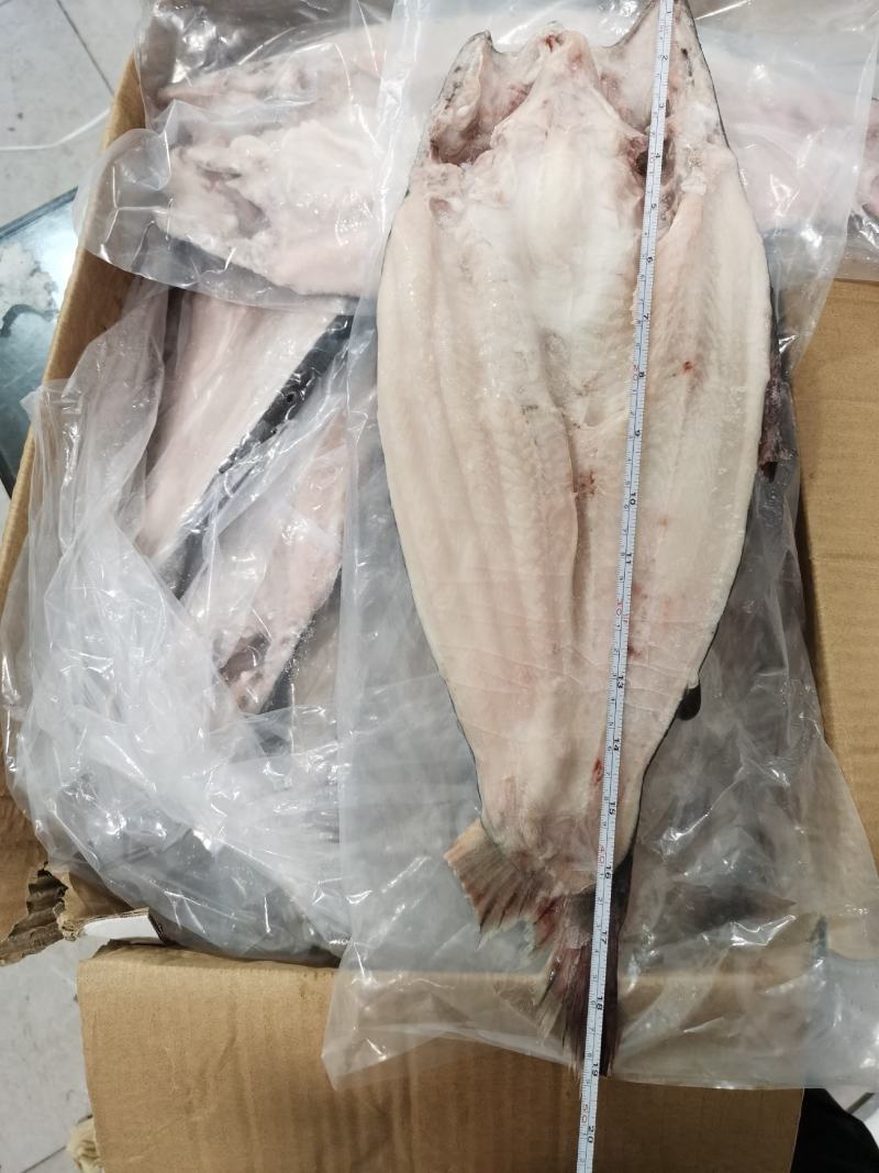 开背巴沙鱼巴沙鱼片带皮巴沙鱼柳单冻餐饮酒店必备食材