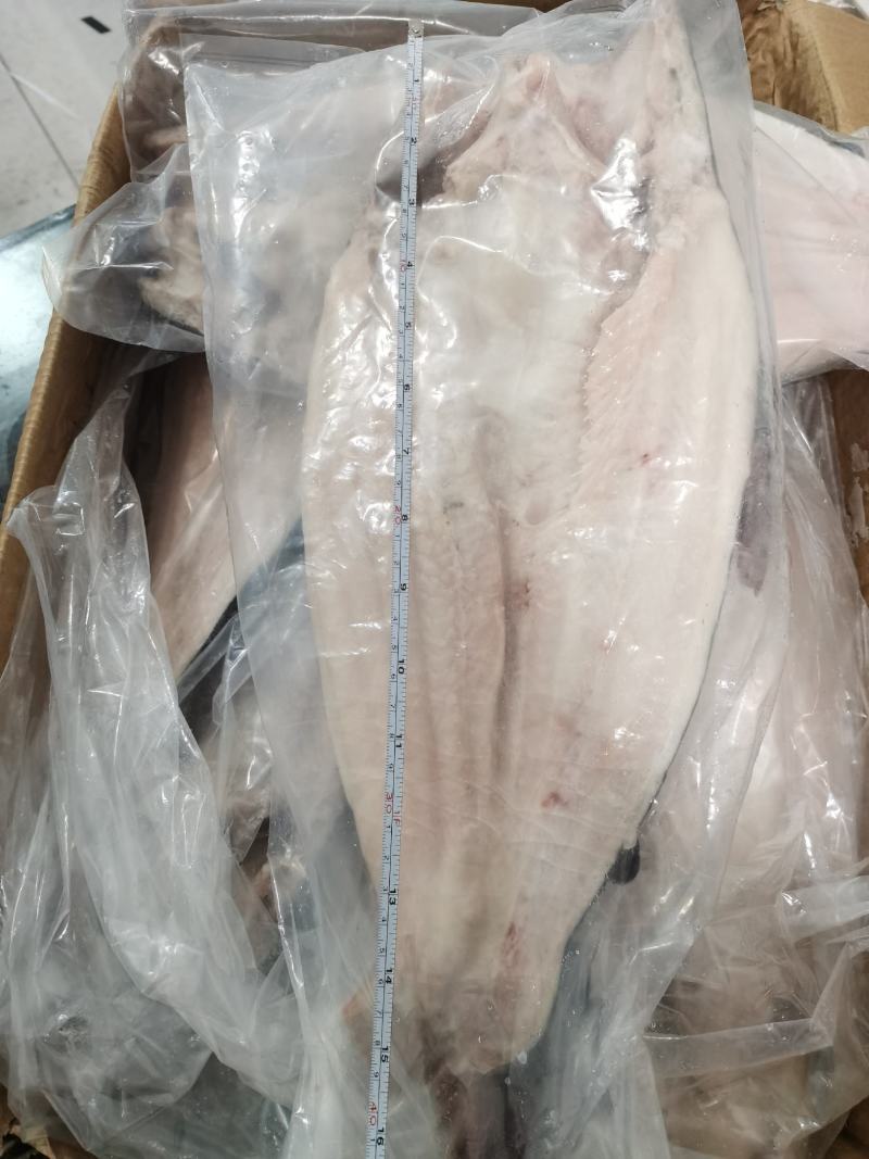 开背巴沙鱼巴沙鱼片带皮巴沙鱼柳单冻餐饮酒店必备食材