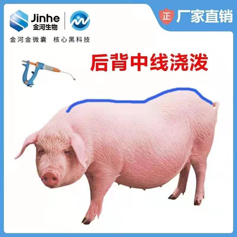 伊浇宁驱虫浇泼液