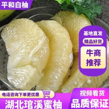 湖北蜜柚蜜柚琯溪蜜柚老树蜜柚皮薄肉厚汁多味甜