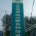 螃蟹苗