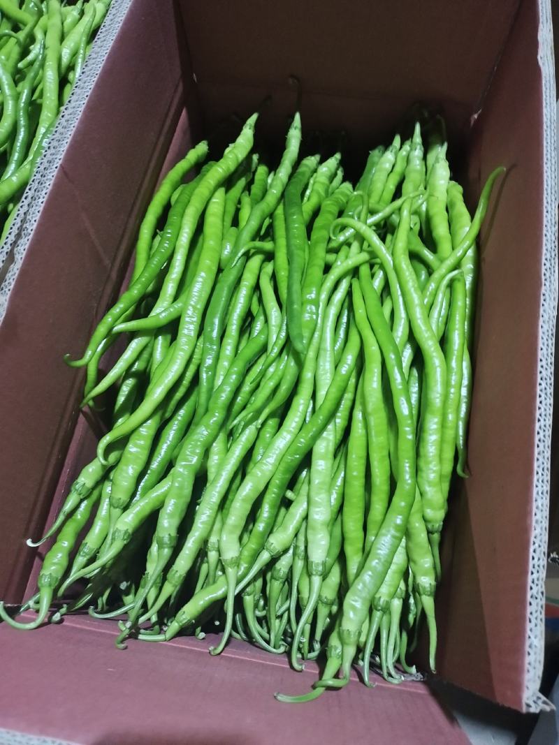 豆角