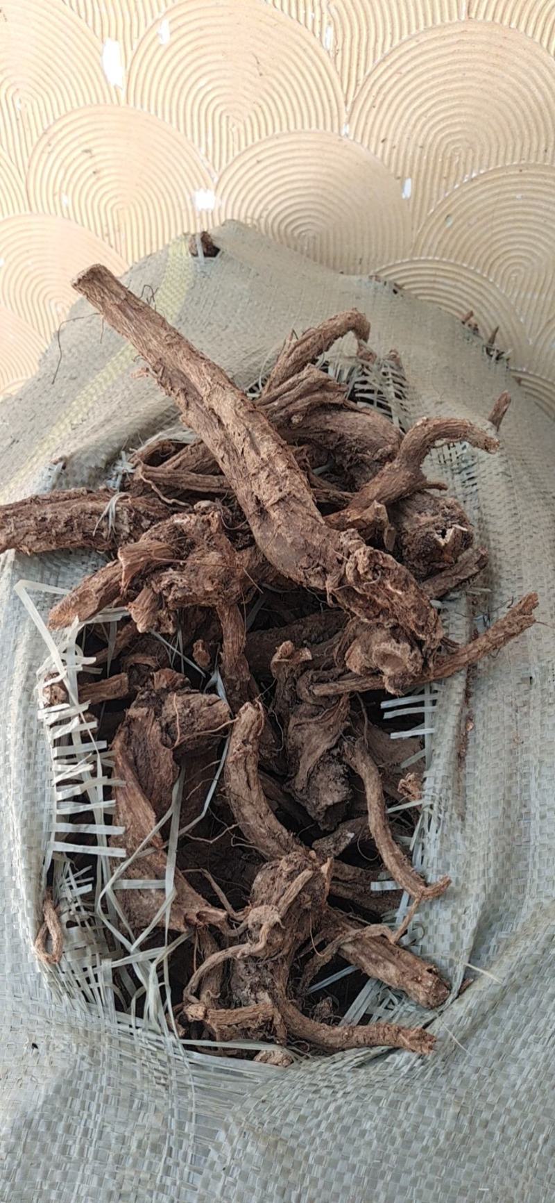 产地木香直销，货真价实，保证含量