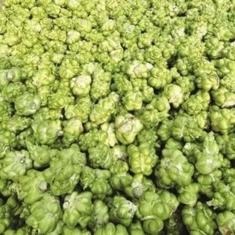 咸菜涪陵榨菜【系列产品】50g/袋，包邮
