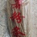 【热销】砀山县粉条-红薯粉条量大价优欢迎咨询下单