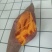 烟薯