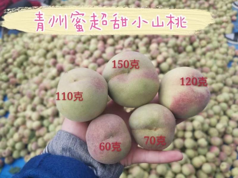 【热销款】青州市冬桃冬雪蜜脆甜质量保证专业手工挑选
