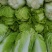 河北大白菜净菜大量供应需要的联系我无虫眼无烧心