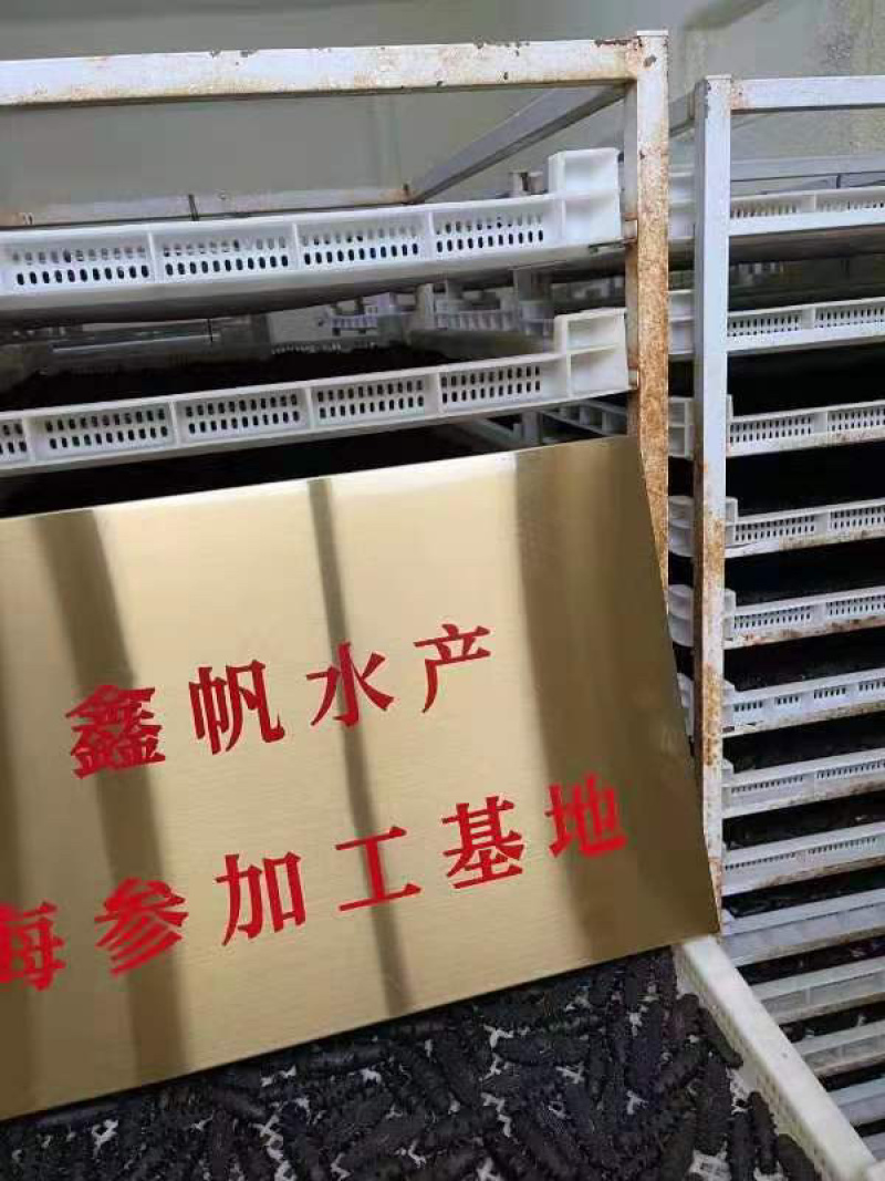 淡干海参干批发小海参刺身非即食海参干货大连海参干辽参
