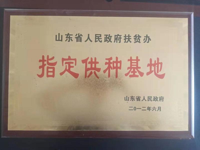 肉羊屠宰羊宰杀羊货到付款到家过磅诚信经营