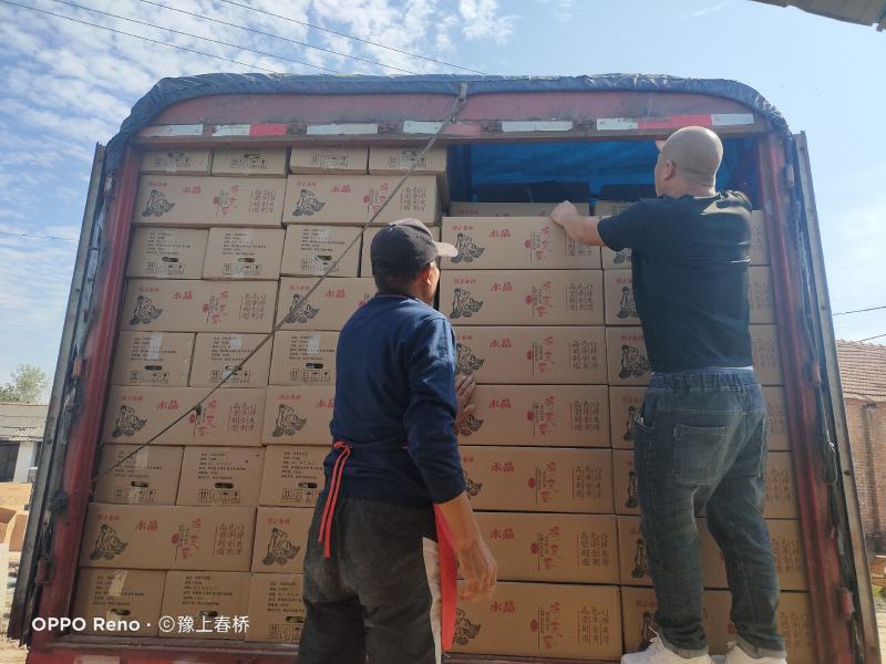 水晶鸡变蛋精品装支持发样品看货，箱装180枚