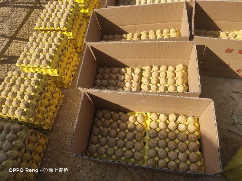 水晶鸡变蛋精品装支持发样品看货，箱装180枚