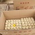 水晶鸡变蛋精品装支持发样品看货，箱装180枚