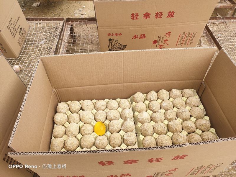 水晶鸡变蛋精品装支持发样品看货，箱装180枚
