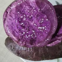 大量出售泰山泰紫一号紫薯，需要可以烤着吃的紫薯有需要者联