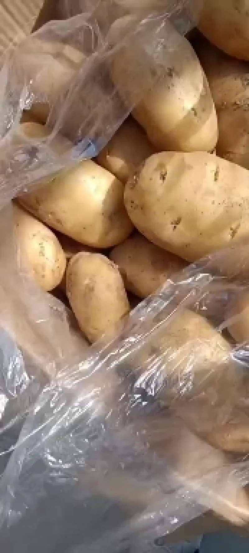 冷库大量供应优质土，品种齐全，真诚给顾客服务，让利。