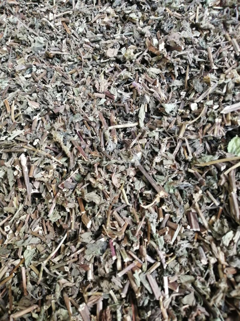 薄荷中药材薄荷叶无硫无添加色好味浓批发零售各种规格中药材