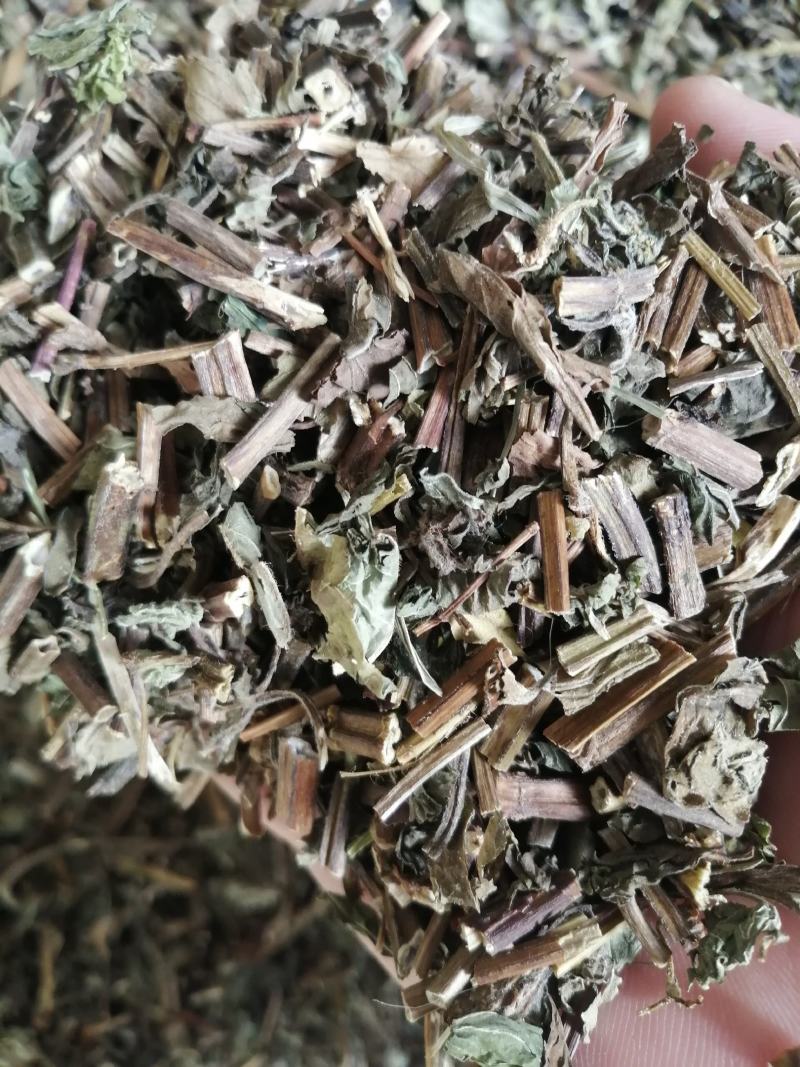 薄荷中药材薄荷叶无硫无添加色好味浓批发零售各种规格中药材