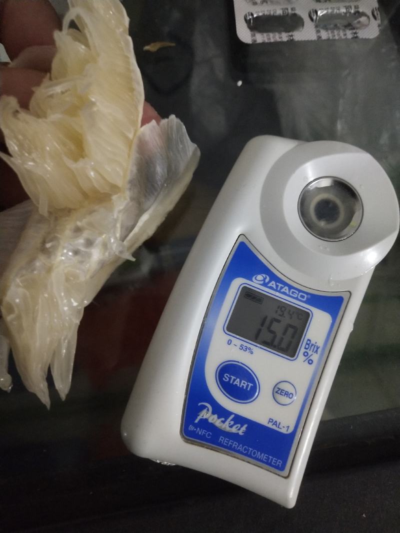 江永香柚，色泽金黄，汁多味甜，一年一度的诱惑季节到了！