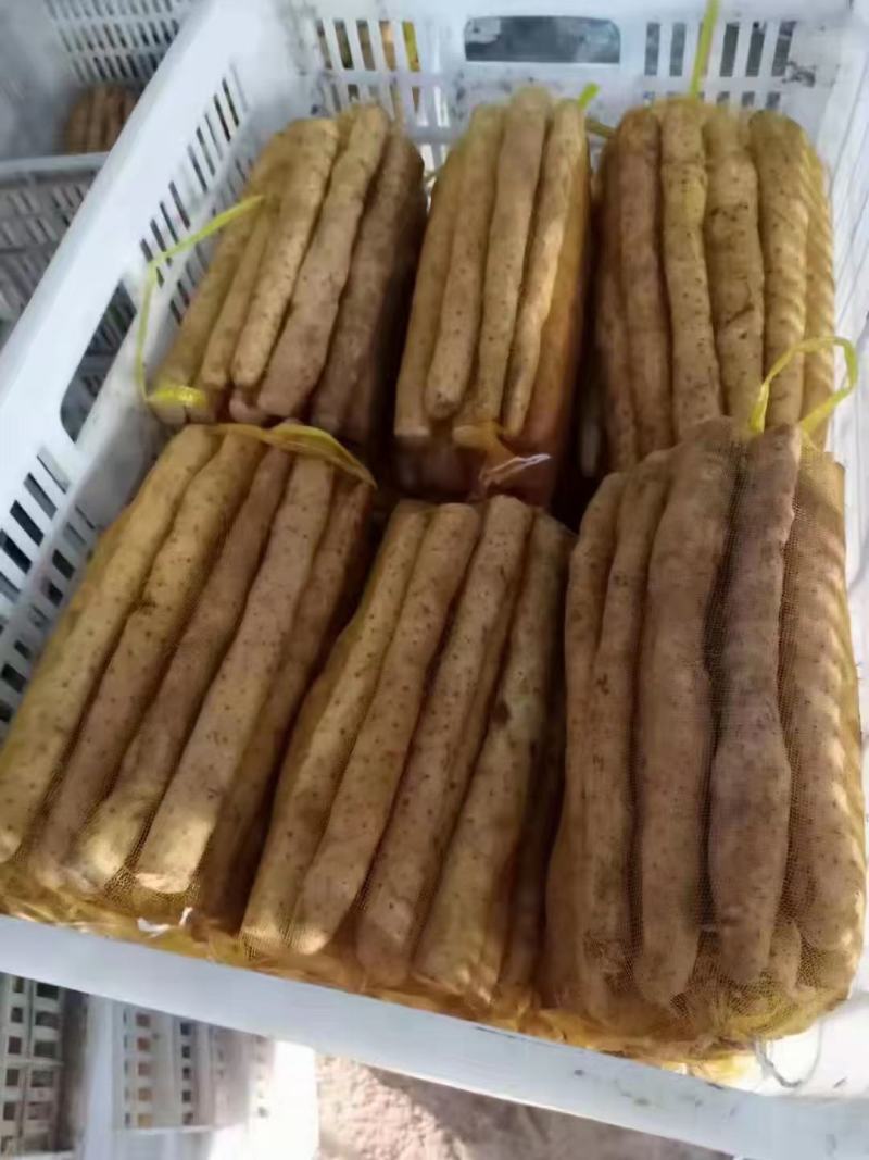 【铁杆山药】精品五斤一袋，大量有货，品质保证，货源稳定