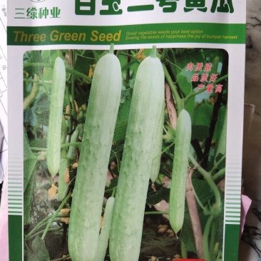 白玉二号黄瓜种子，早熟，春季播种，瓜皮白绿色，耐低温。