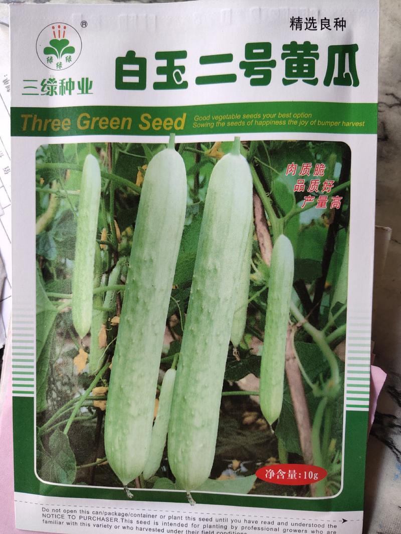 白玉二号黄瓜种子，早熟，春季播种，瓜皮白绿色，耐低温。
