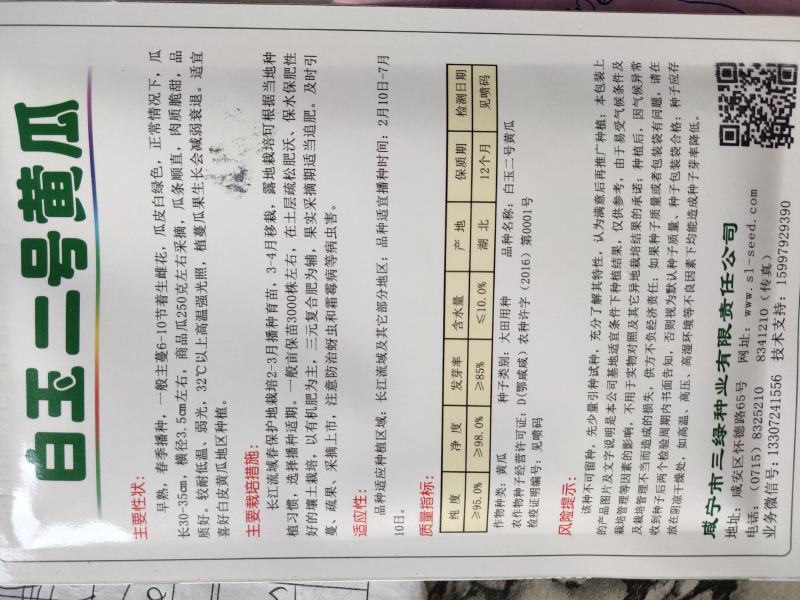白玉二号黄瓜种子，早熟，春季播种，瓜皮白绿色，耐低温。