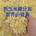 熟玉米水份30左右，糖份高，营养丰富，可降低成本