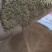 替代玉米降低饲料成本产品诱食适口性好，增强抵抗力