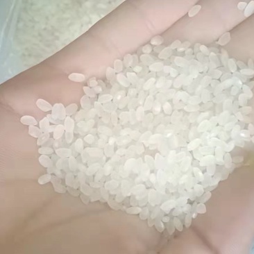 鱼台大米