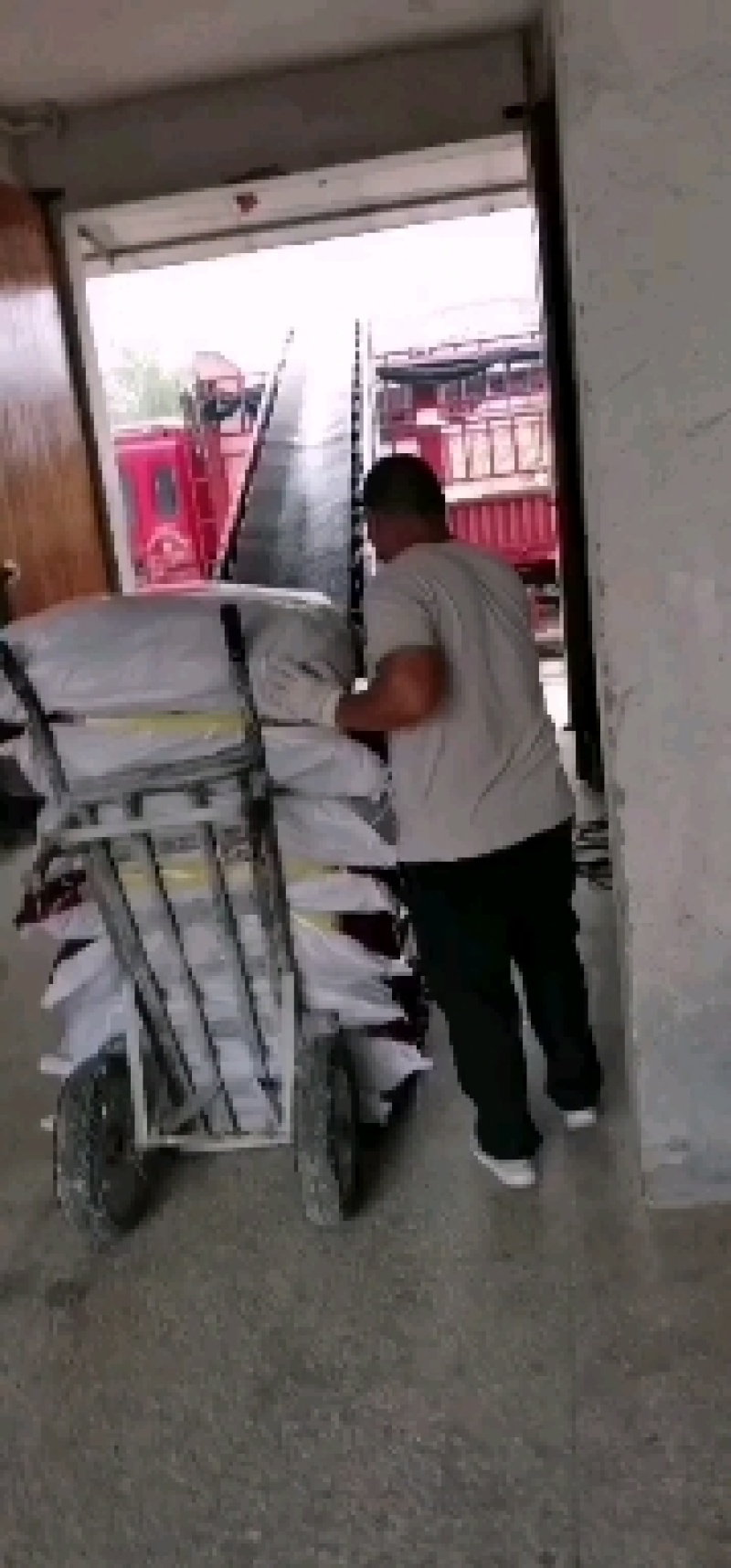 【热销】砀山县粉条-红薯粉条量大价优欢迎咨询下单