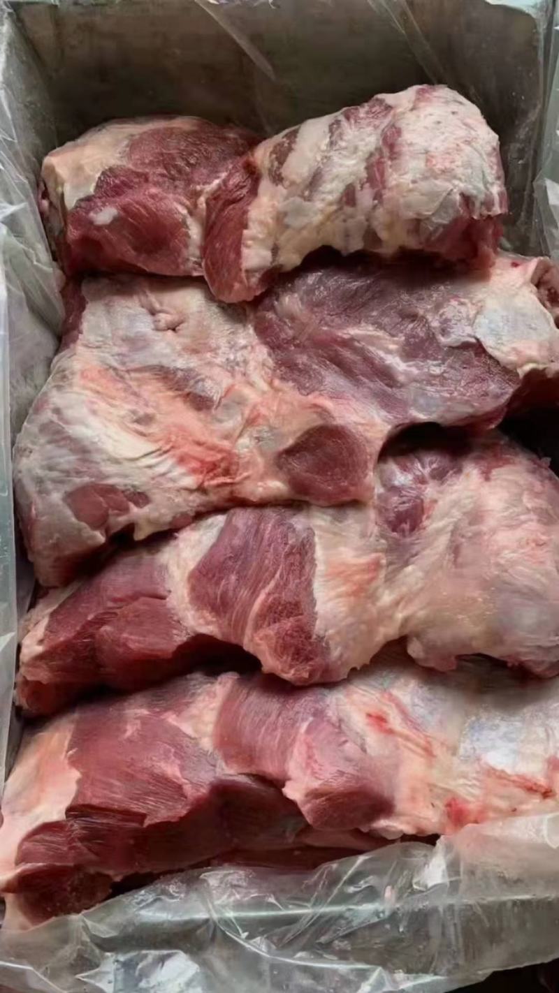 母猪前驳