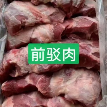 母猪前驳