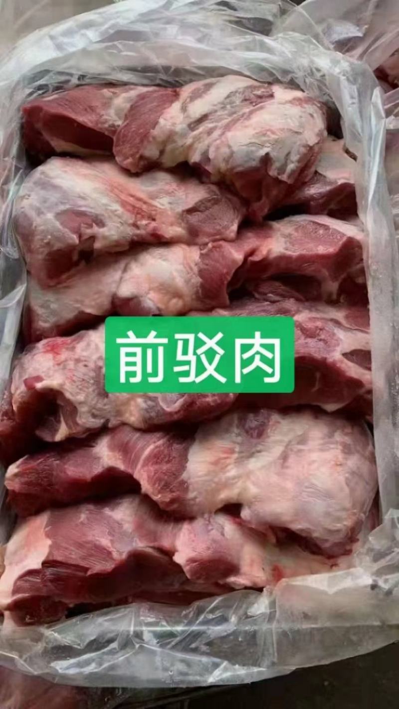母猪前驳