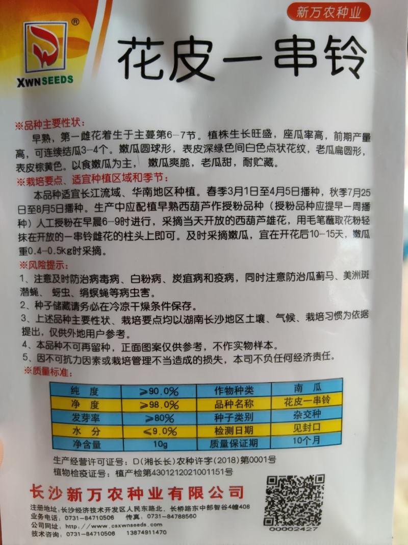 花皮一串铃南瓜种子早熟座瓜率高高产抗病瓜爽脆耐储藏