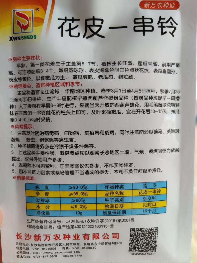 花皮一串铃南瓜种子早熟座瓜率高高产抗病瓜爽脆耐储藏