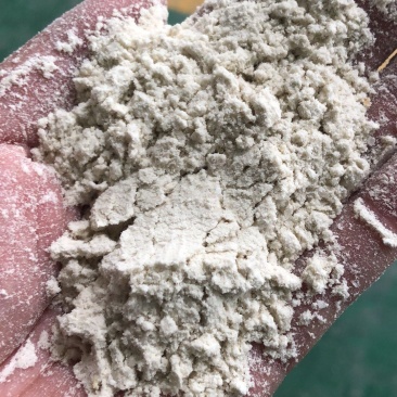 油糠纯米糠，现加油糠，现货两个挂车质量好要的速度。