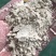 油糠纯米糠，现加油糠，现货两个挂车质量好要的速度。