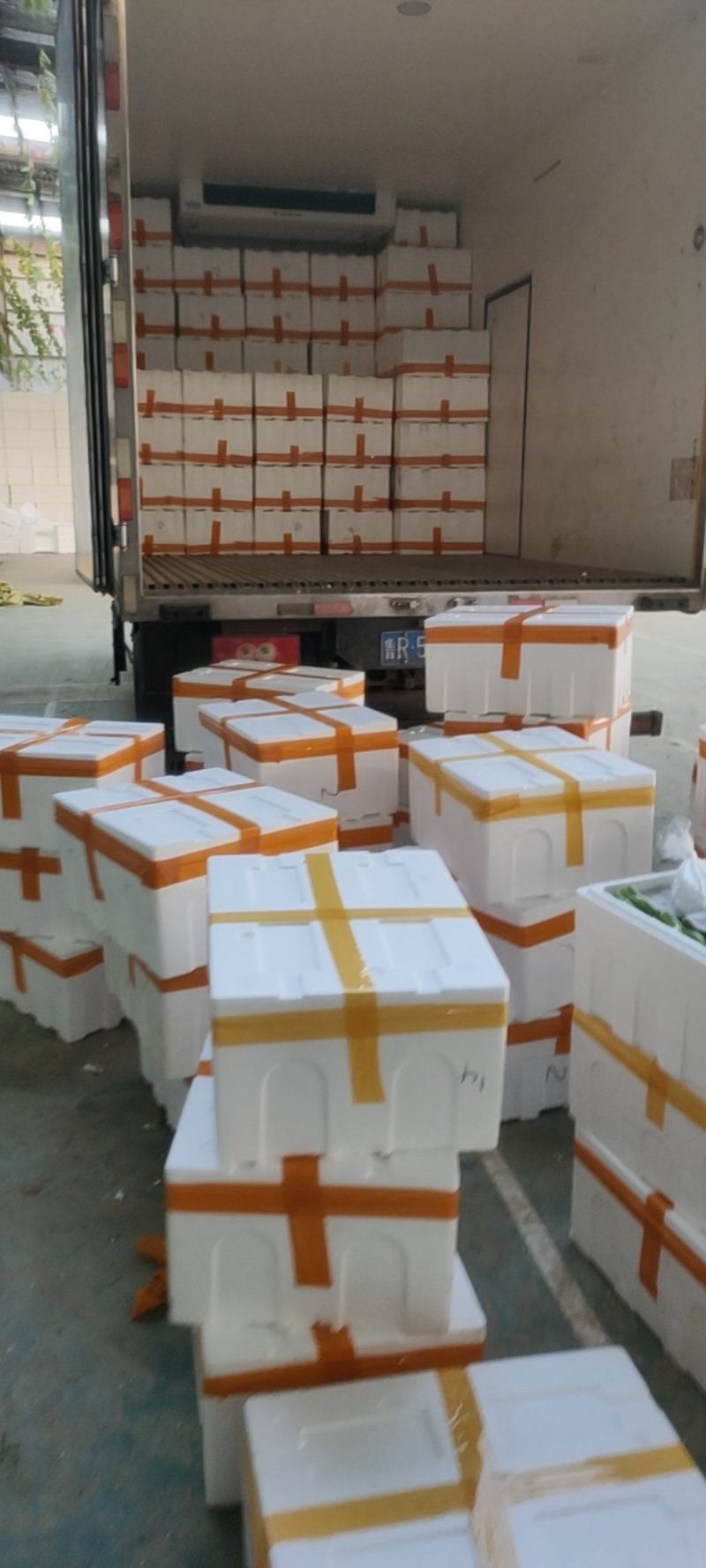 精品湖北菜台甜菜心广东菜心基地长年有货物美价廉