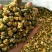 【精选】北京菊朵花，大量出售货量充足量大从优欢迎选