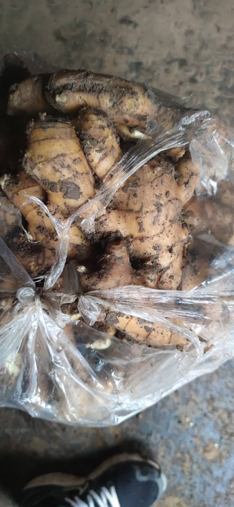 【精品】生姜批发大黄姜生姜产地直发欢迎咨询