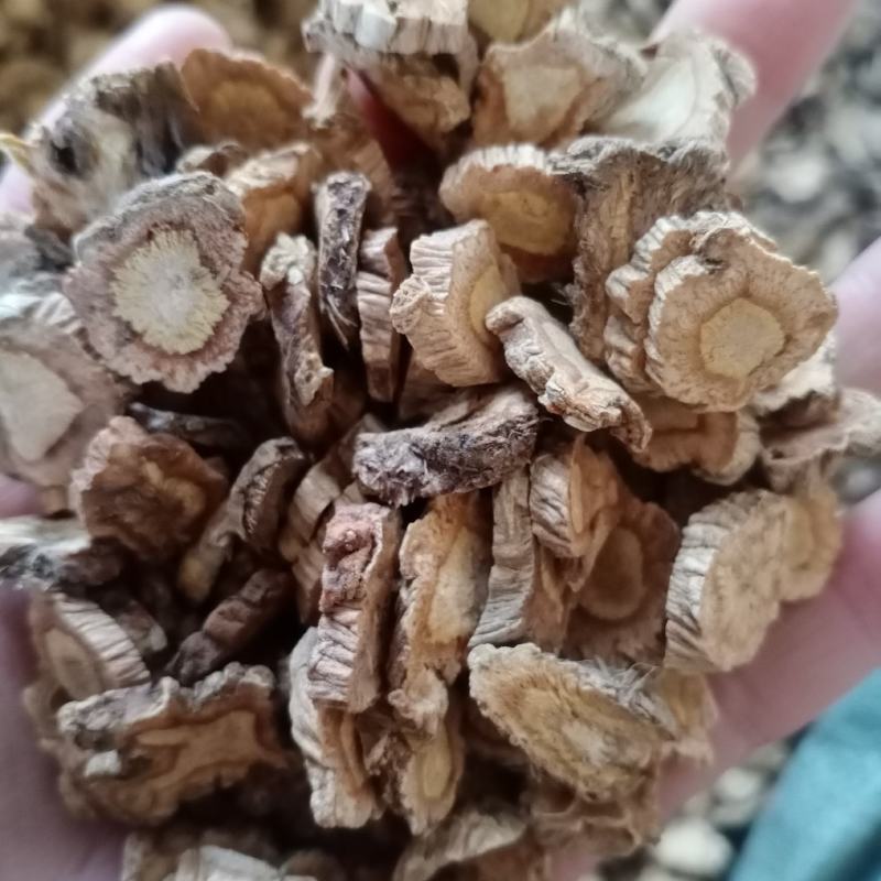 防风，大货直供，各种等级防风，防风片，防风组，中药材批发