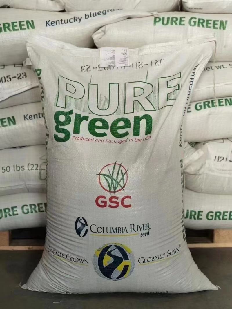 进口草种花种野花组合。花海施工播种，技术指导