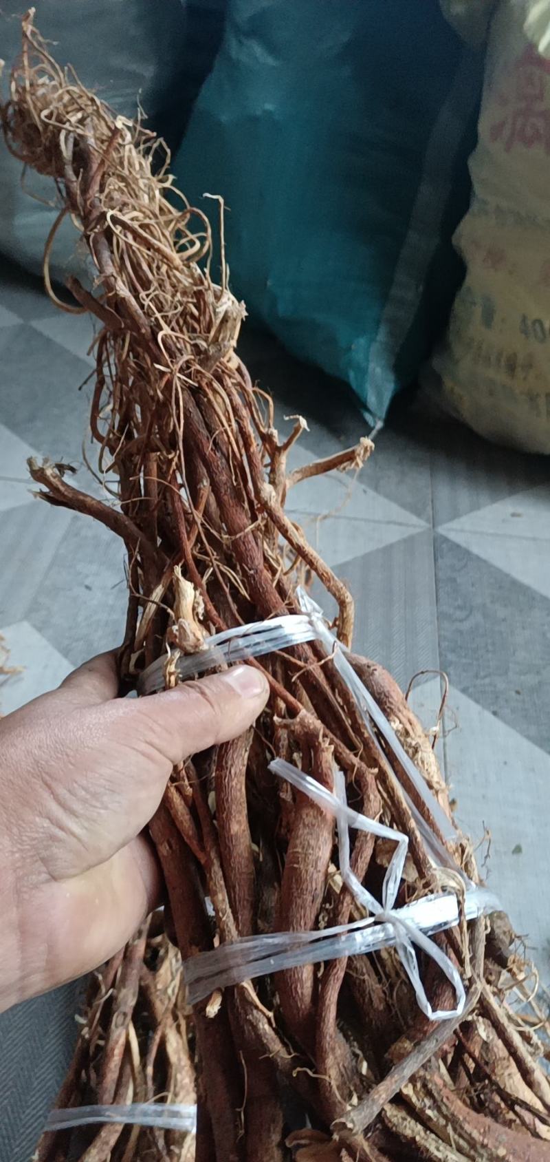 广西大山特香五指毛桃长扎把!切断通干货!无琉，香味纯正
