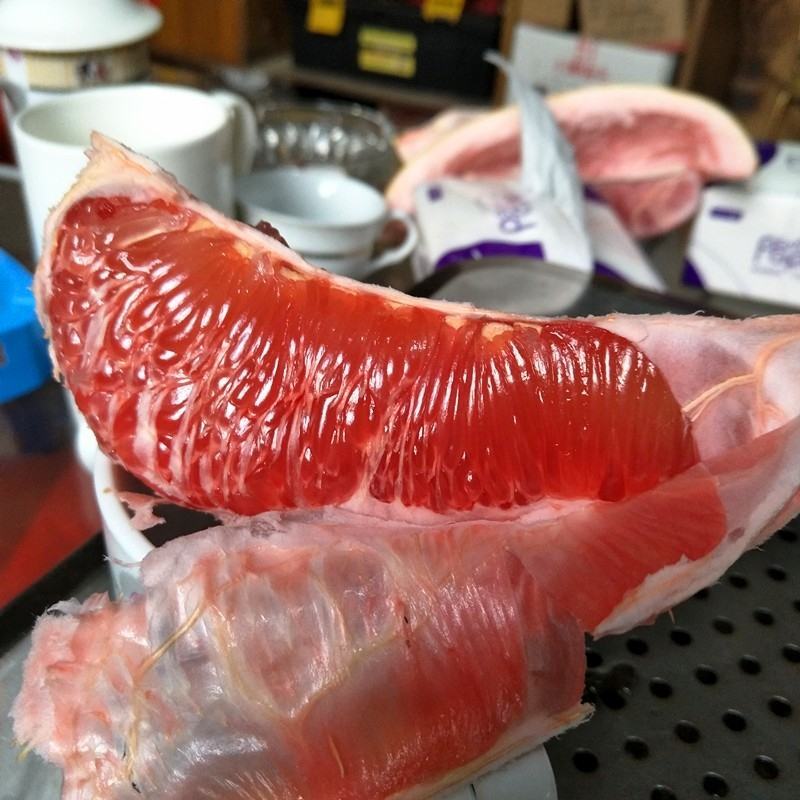 三红蜜柚，沙田柚红心柚子树苗嫁接苗，品种齐全
