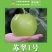 苏翠一号梨苗保湿发货，包成活率，品种纯正