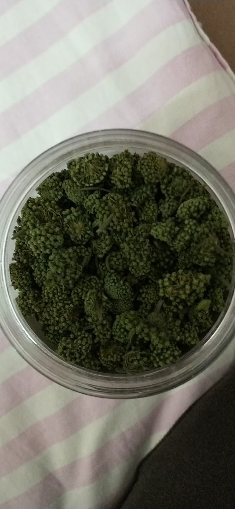 云南文山三七